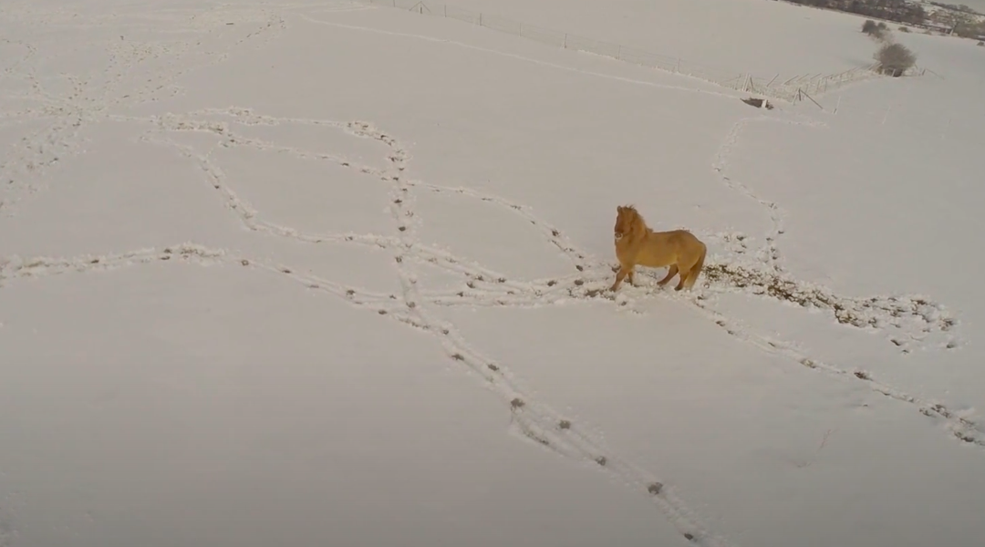 Schnee und Lebensfreude