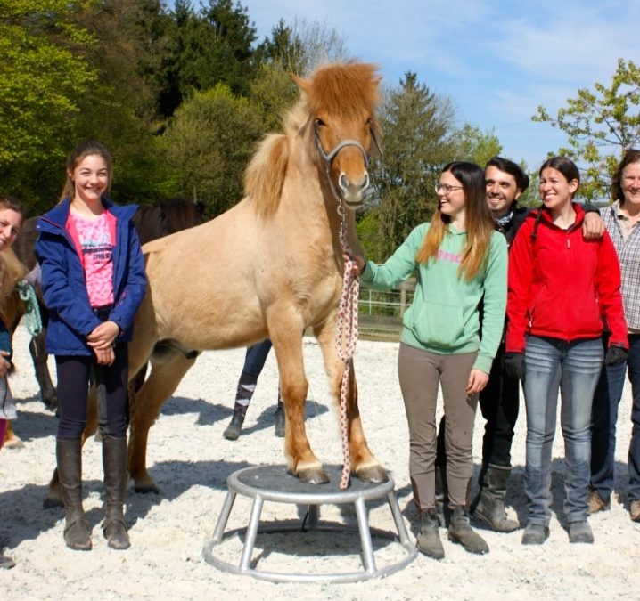 Großer Erfolg! Kurs mit Dr. Stefanie Stöcker