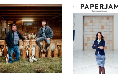 Artikel im Paperjam
