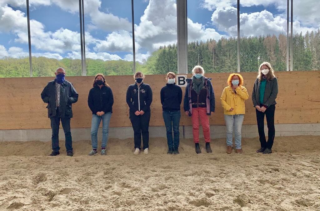Islandpäerd Vereenegung Lëtzebuerg