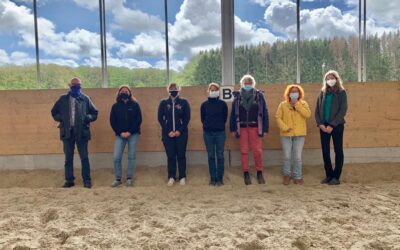 Islandpäerd Vereenegung Lëtzebuerg