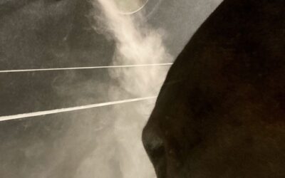 Endlich da: die neue Inhalationskammer